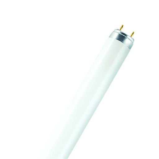 [ILU.06.821] [201300745] SYLVANIA Tubo fluorescente T8, 32W, 6500K, luz blanca