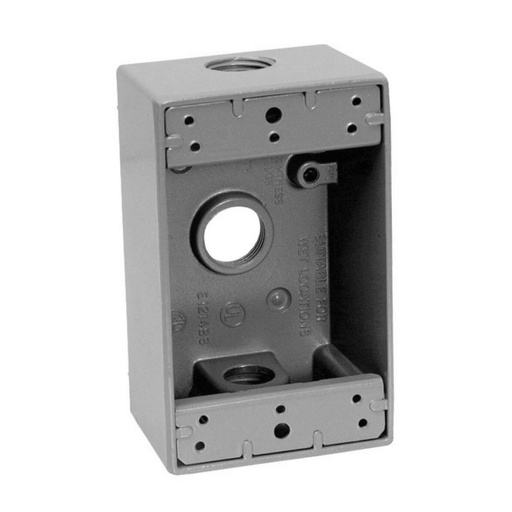 [CAN.02.002] [B-75V] Caja 2x4 Nema 3R roscas de 3/4"