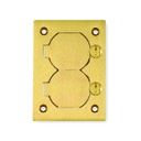 HUBBELL S3825 Cubierta de bronce para colocar a nivel de piso, rectangular doble de 4-5/32" x 2-63/64"