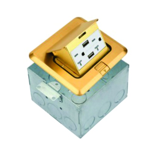 [WIR.03.738] [661243S-C-JUM-U20] Caja para escritorio POP-UP sencilla, 2 USB, 1 Gang, brass, UL